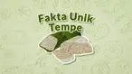 Tempe kini jadi barang yang cukup langkap di pasaran, dipicu mahalnya kacang kedelai sebagai bahan baku. Tak banyak yang tahu, makanan tempe ternyata memiliki sejumlah fakta unik. Simak nih videonya.