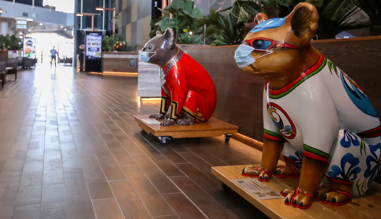 Patung-patung koala terlihat di sebuah klub di Port Macquarie, New South Wales, Australia (8/10/2020). Sebuah acara bertajuk Hello Koalas Sculpture Trail 77 patung koala di berbagai lokasi dalam radius 10 km, digelar di kota pesisir tersebut untuk menarik wisatawan. (Xinhua/Bai Xuefei)