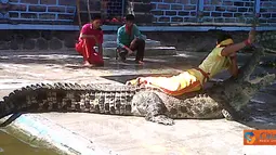 Citizen6, Badung: Taman buaya ini dikenal dengan nama Reptile and Crocodile Park yang beralamatkan di Banjar Binong, Desa Werdi Bhuwana, Kec. Mengwi, Kab. Badung. (Pengirim: Munanjar)