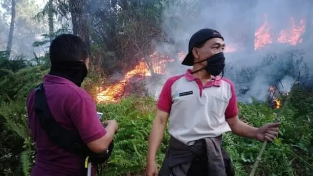 Pemadaman kebakaran Gunung Slamet di Purbalingga (13/9/2019) dilakukan dengan peralatan seadanya yang ditemui di lapangan. (Foto: Liputan6.com/Perhutani/Muhamad Ridlo)