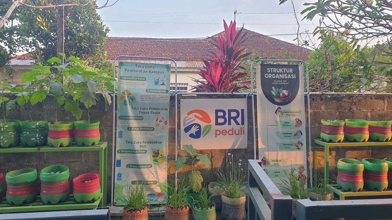 Dari Gang Sempit Jadi Kebun Sayur, Kelompok Tani Timoho Ngeremboko Rasakan Manfaat BRInita