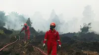 Petugas berjibaku memadamkan Karhutla di kawasan pesisir Riau beberapa waktu lalu. (Liputan6.com/M Syukur)