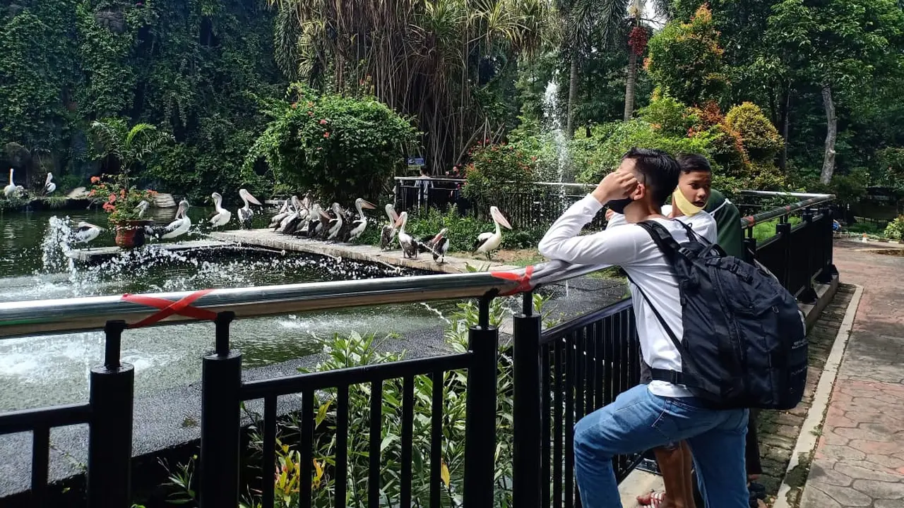 Pengunjung di Taman Margasatwa Ragunan meningkat saat libur panjang. (Istimewa)