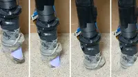 Robot Pendeteksi Ranjau Darat 'Digger Finger'. Dok: news.mit.edu