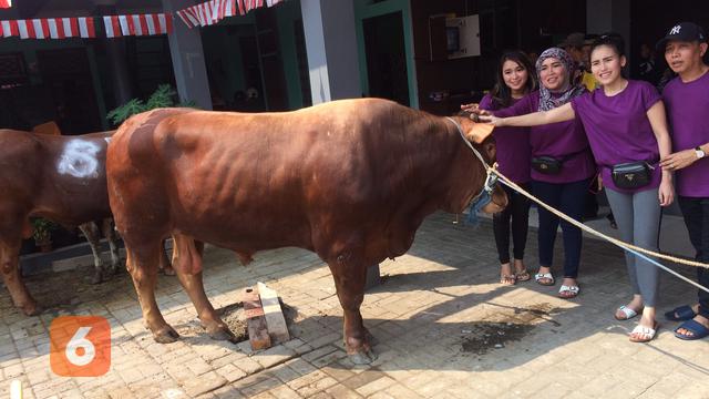 [Bintang] Suasana Penyembelihan Hewan Qurban di Rumah Ayu Ting Ting