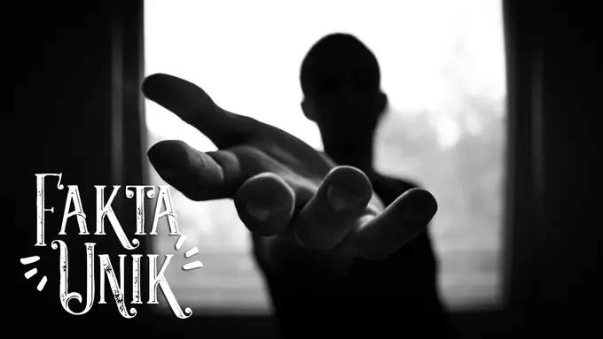 [Bintang] Fakta Unik