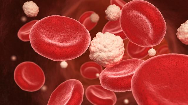 Tips Memasak Makanan Bersantan