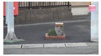 Taman terkecil di dunia hanya berukuran 0,24 meter persegi pecahkan rekor. (sumber: YouTube/Nippon Television News Japan-English via Odditycentral)