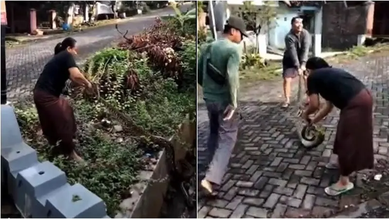 Aksi Berani Emak-Emak Tangkap Ular Besar Ini Bikin Takjub, Netizen: Real Ras Terkuat