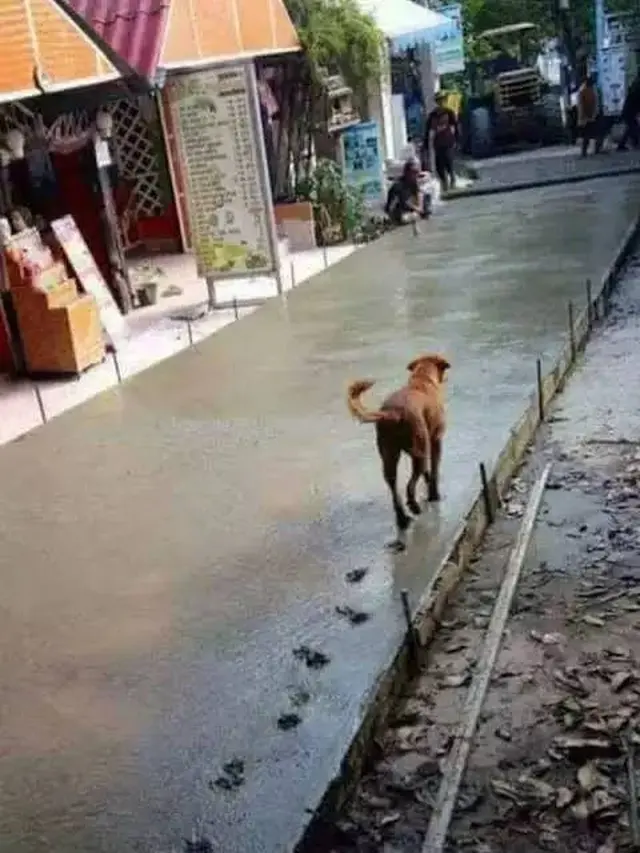 7 Momen Apes Orang Kerja di Proyek Pembangunan Ini Bikin Kasihan