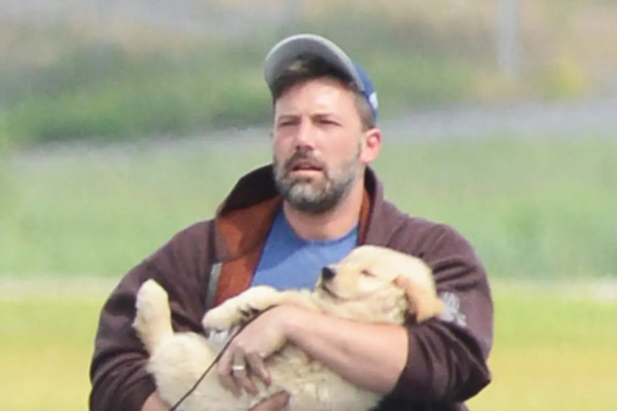[Bintang] Ben Affleck