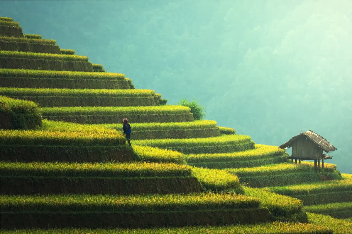 Travel