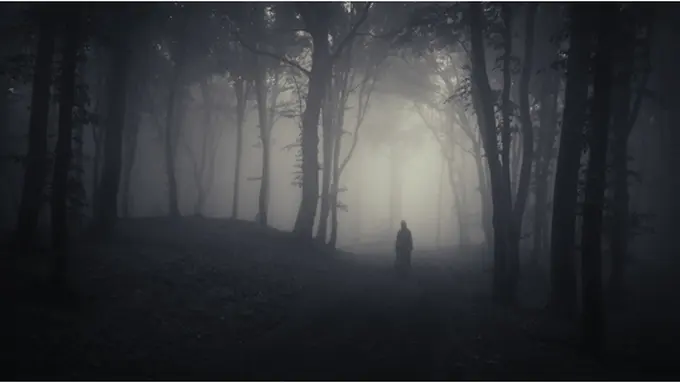 Foto: Copyright Shutterstock.com