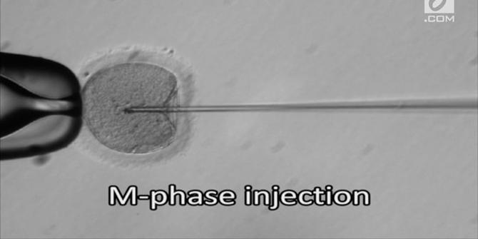 VIDEO: Ilmuan Berhasil Mencegah Penyakit Turunan pada Embrio