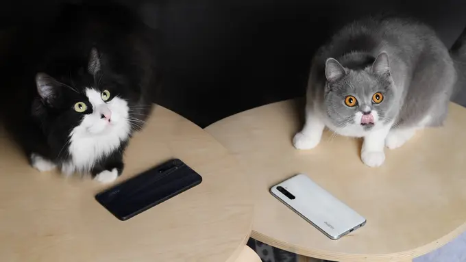 Serunya Main Game Online dan Streaming Film dengan Smartphone Realme Narzo