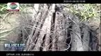Penggunaan jebakan tikus beraliran listrik di Kabupaten Ngawi, Jawa Timur, kembali menelan korban jiwa. Mayat seorang nenek tanpa identitas ditemukan tewas di tengah sawah di Desa Pangkur, Kabupaten Ngawi, pada Selasa (7/1/2020).