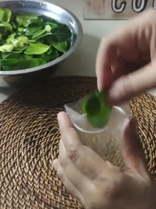 Daun jeruk yang sudah dicuci bersih, masukan ke dalam plastik ziplock (Sumber: TikTok/@zetty.h)