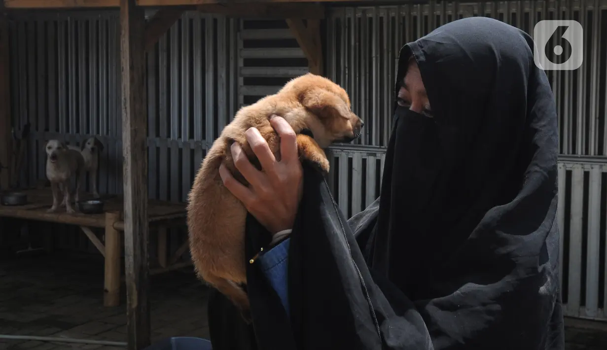 Pecinta hewan Hesti Sutrisno menggendong anjing-anjing liar peliharaannya di rumah penampungan sementara Green House, Tenjolaya, Bogor, Jawa Barat, Minggu (14/3/2021). Biaya pakan dan kesehatan anjing-anjing tersebut Hesti kumpulkan dari hasil jualan keripik. (merdeka.com/Arie Basuki)