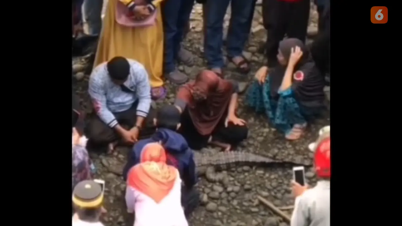 Tangkapan layar video viral buaya jadi-jadian di Makassar (Liputan6.com/Fauzan)