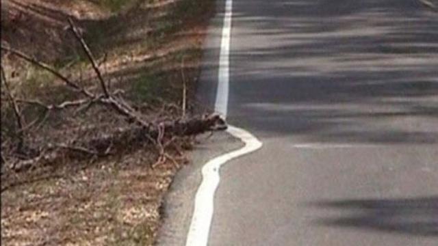 Mager Kebangetan, Aksi Orang-Orang ini Bikin Kita Geregetan