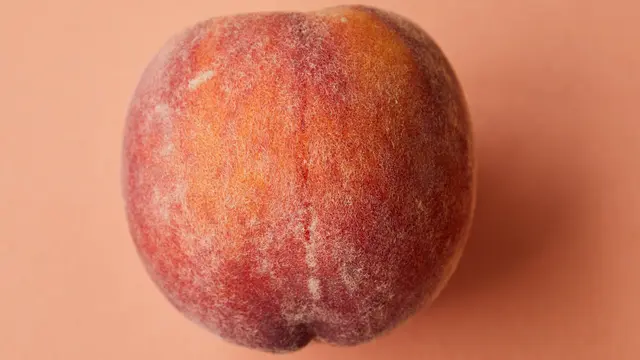 Ilustrasi buah