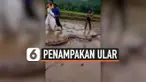 THUMBNAIL piton