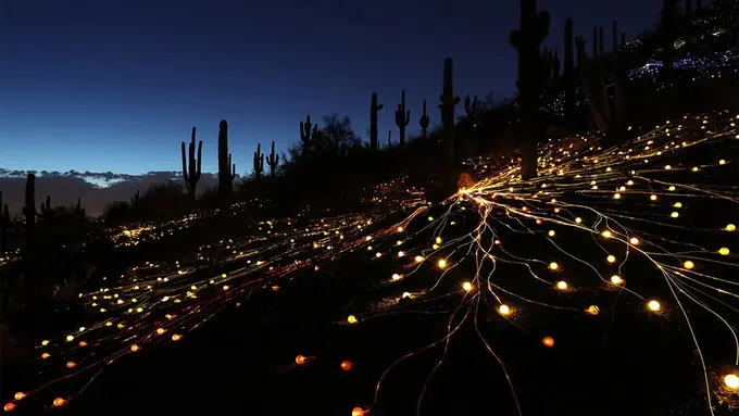 Pakai 50 Ribu Lampu, Seniman Ini Sulap Gurun Jadi Negeri Dongeng