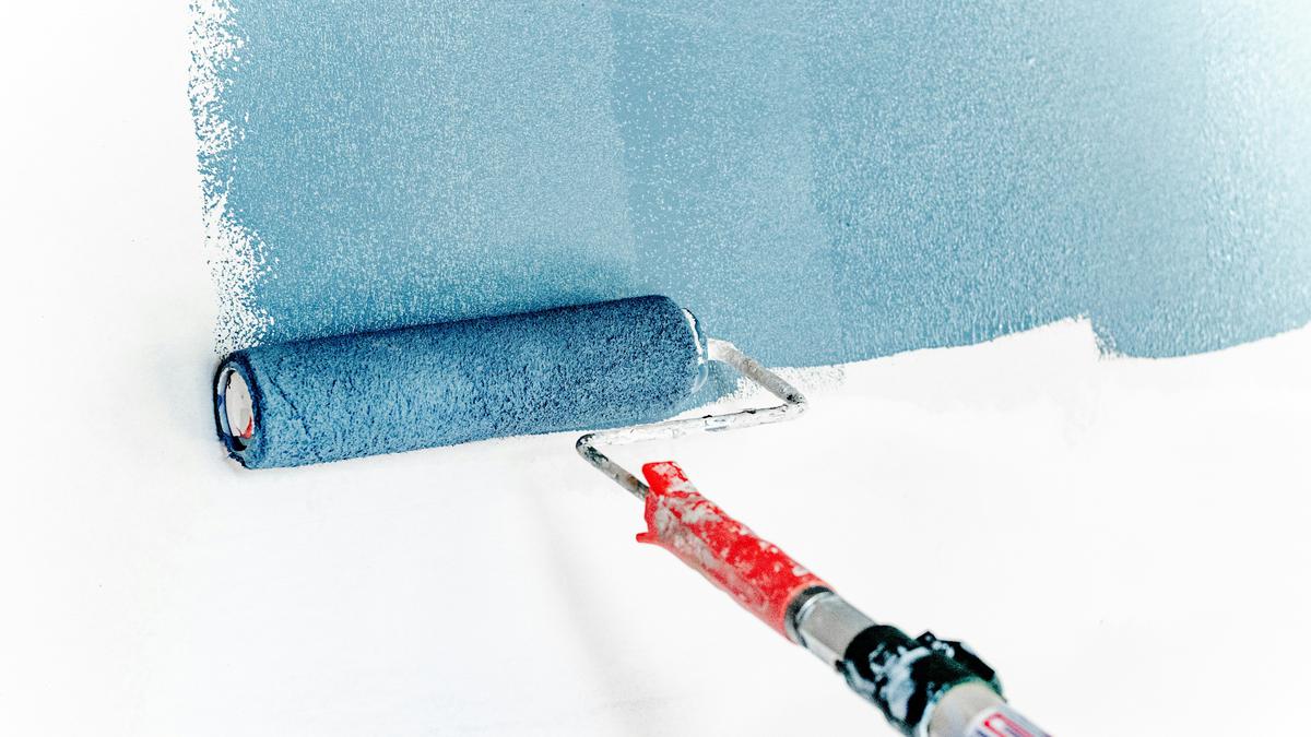 7 Rekomendasi Cat untuk Tembok Berjamur agar Dinding Kembali Bersih dan Tahan Lembap