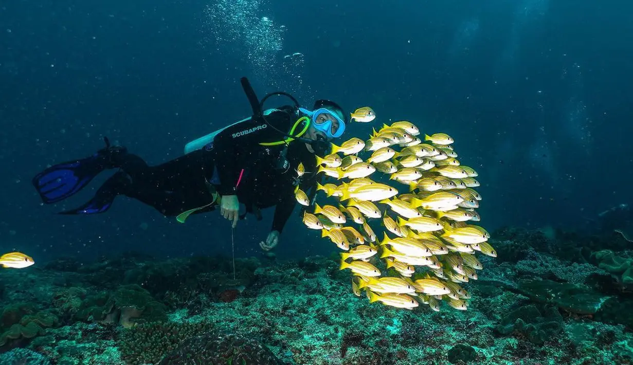 Sammy Simorangkir bahagia tak terkira, ultahnya dihadiri oleh ikan-ikan kecil berwarna kuning. (Foto: Instagram/@sammysimorangkir)