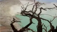 Kabupaten di ujung timur Pulau Jawa itu menyajikan keindahan alam, seni, dan budaya berlimpah.