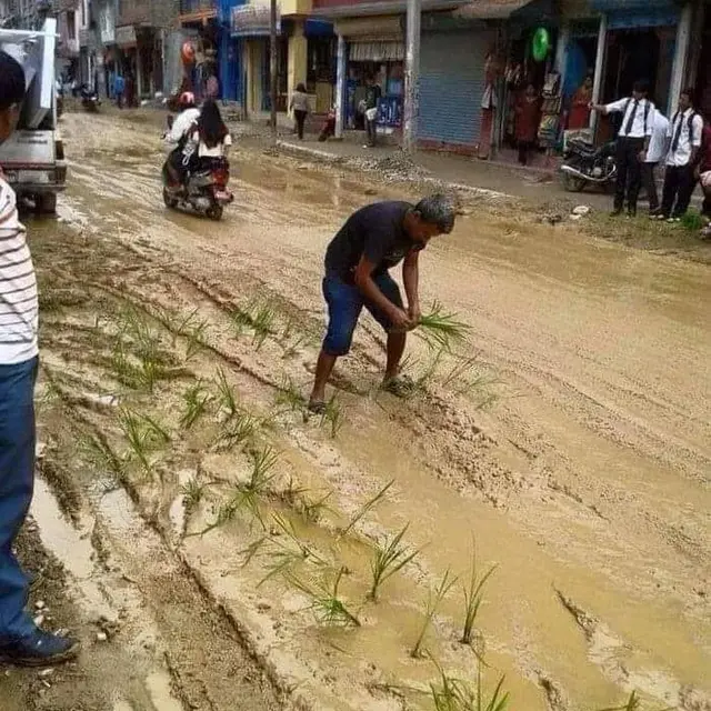 6 Penampakan Sawah Nyeleneh Ini Bikin Tepuk Jidat, Bisa Gagal Panen