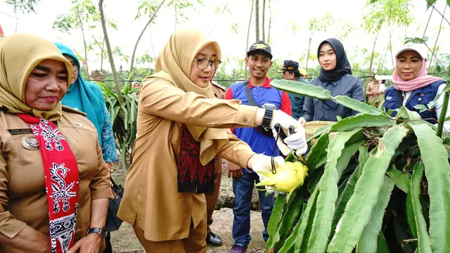 Pemkab Banyuwangi