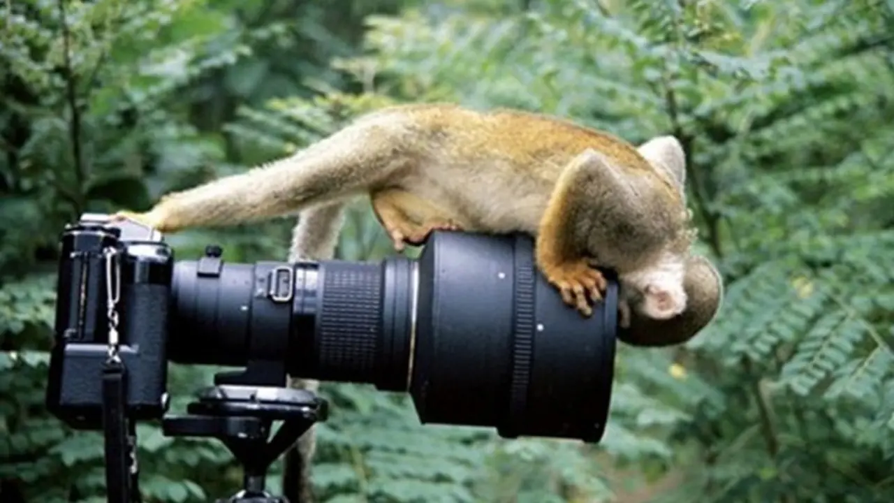 10 Foto Selfie Paling Extrim Dan Menantang Maut Di Dunia