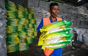 Seorang pekerja membawa karung-karung beras di gudang Badan Urusan Logistik (Bulog) di Lambaro, Provinsi Aceh pada 29 Desember 2025. Badan Urusan Logistik (Bulog) memastikan ketersediaan beras di Pulau Sumatera dalam kondisi aman dan mencukupi, khususnya untuk memenuhi kebutuhan masyarakat yang terdampak bencana banjir dan longsor di sejumlah wilayah. (CHAIDEER MAHYUDDIN/AFP)