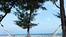 Adik dari Jess No Limit ini sangar senang menikmati pantai dengan cara bersantai. Duduk di hammock, bisa jadi solusi menikmati angin pantai berserta suara ombak yang merdu. Foto Jessica Jane ini banjir pujian dari netizen yang menyebutnya cantik. (Liputan6.com/IG/@jessicajane99)