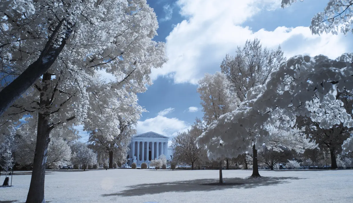 Pemandangan bagian depan gedung Mahkamah Agung yang terlihat melalui pepohonan di Washington DC (26/9). Foto ini dihasilkan dengan menggunakan kamera atau teknik Inframerah. (AFP Photo/Andrew Caballero-Renolds)