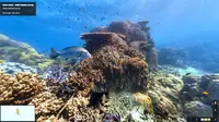 Google Street View Underwater (Catlin Seaview Survey)