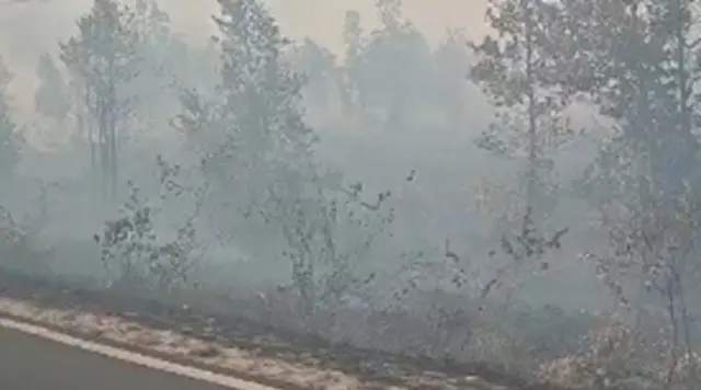 7 Kabupaten/Kota di Kalsel Tetapkan Status Siaga Darurat Kebakaran Hutan