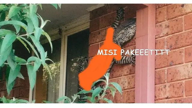 Potret 5 Hewan Diedit Jadi Kurir Ini Bikin Tepuk Jidat