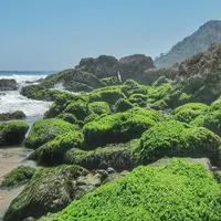 Pantai Lumbung, Tulungagung, Jawa Timur. (adreeanto/Instagram)