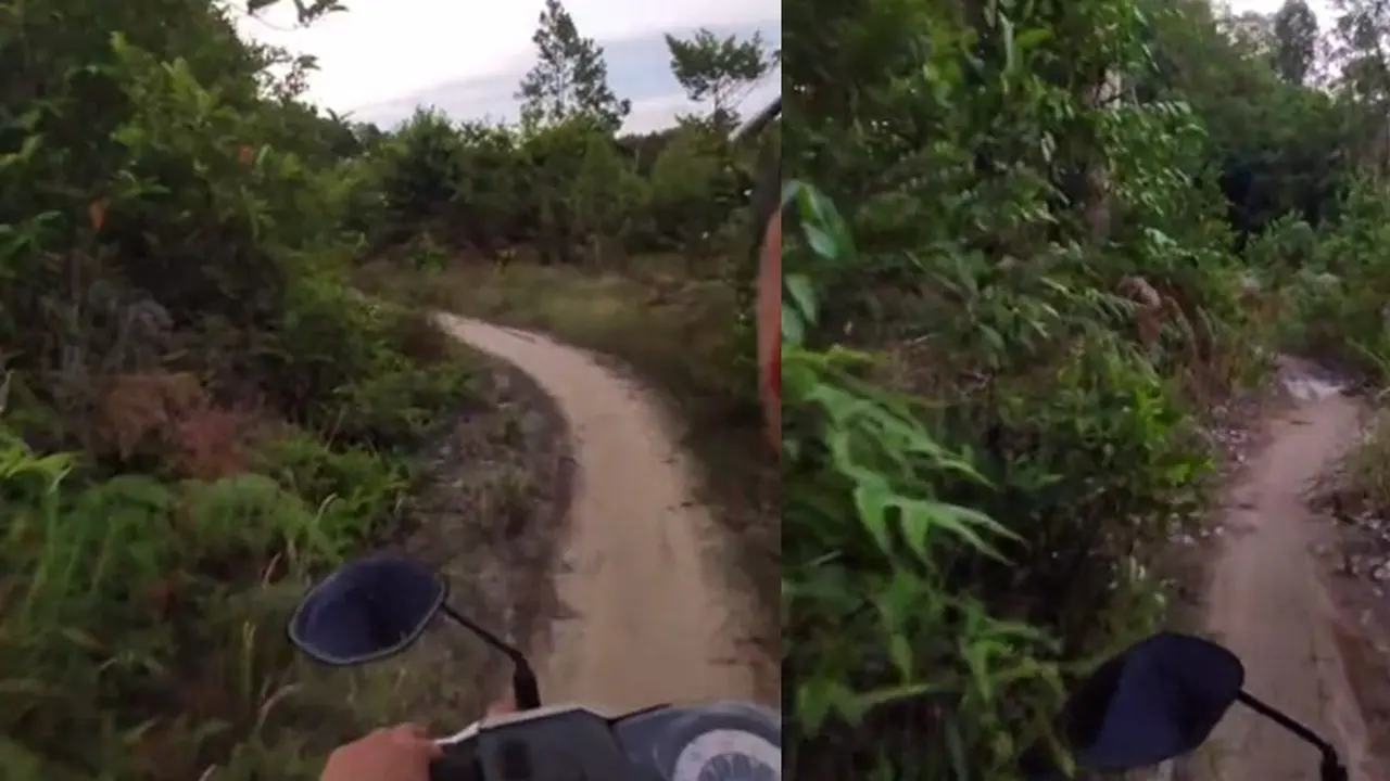 Motoran di hutan (TikTok/@ariframadhan998)