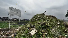 Tumpukan sampah bercampur dengan eceng gondok menggunung di Waduk Pluit, Jakarta, Jumat (13/2/2015). Sampah tersebut berasal dari warga sekitar.(Liputan6.com/Faizal Fanani)