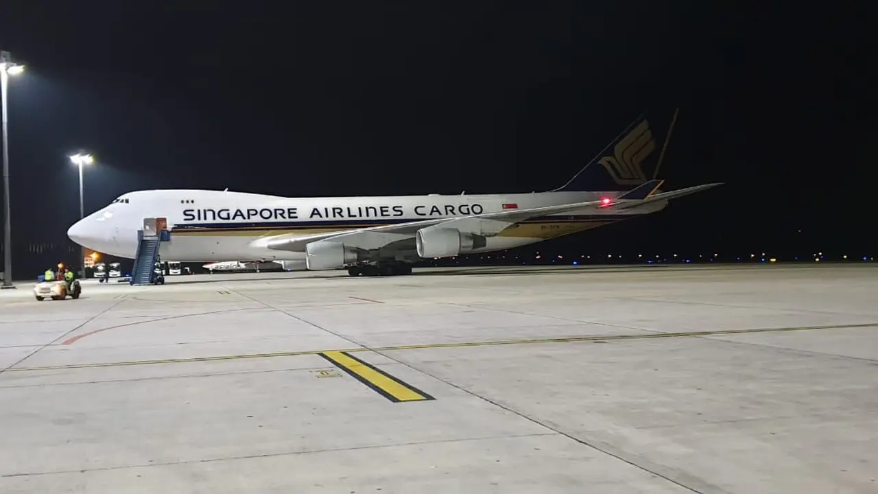Pesawat tujuan Bandara Changi Singapura mendarat di Bandara Hang Nadim Batam.