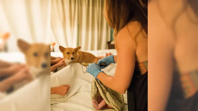Momen hangat anjing saat menemani majikannya melahirkan