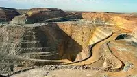 Aturan pelarangan ekspor mineral mentah tampaknya memberikan dampak besar bagi Newmont Mining Corp. 