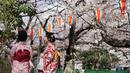 Pengunjung berpakaian Kimono melihat bunga sakura yang mekar di taman Tokyo, Jepang, Jumat (23/3). Mekarnya sakura menjadi momen yang paling ditunggu oleh para turis asing di Jepang. (Foto AP/Eugene Hoshiko)
