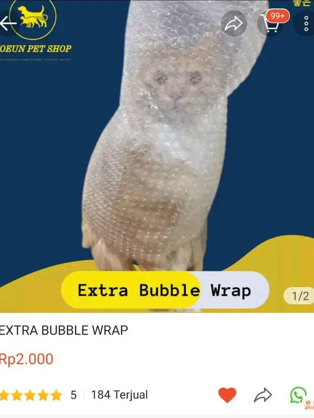 7 Potret Promosi Barang Dagangan di Online Shop Ini Absurd Banget