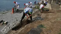 Petugas membuat parit untuk mengubur ikan yang mati di sepanjang reklamasi pantai Ancol, Jakarta (30/11/2015). Ribuan ikan yang mati dan terdampar di pantai ini diduga akibat tercemar limbah industri. (Liputan6.com/Gempur M Surya)