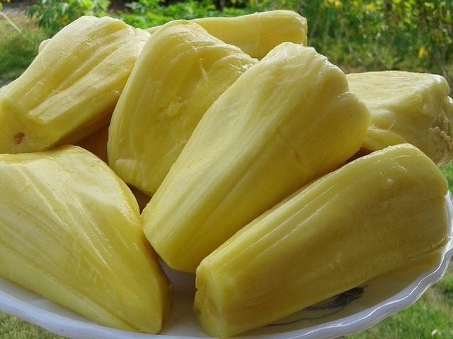 Buah Nangka Tak Baik Untuk Penderita Maag Kenapa Lifestyle Fimela Com