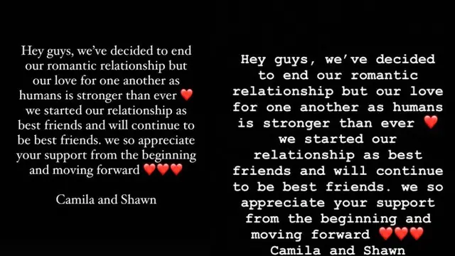 Unggahan Shawn Mendes dan Camila Cabello. (Instagram/ shawnmendes - camila_cabello)